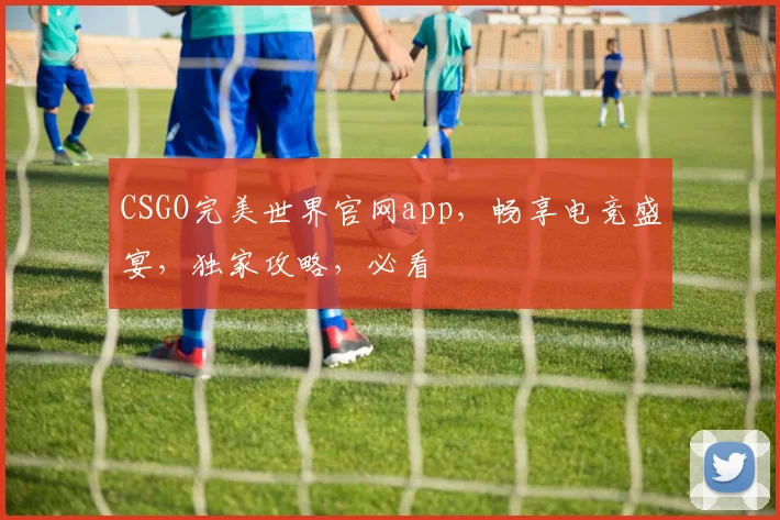 CSGO完美世界官网app，畅享电竞盛宴，独家攻略，必看