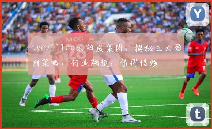 tyc7111cc太阳成集团，揭秘三大盈利策略，行业翘楚，值得信赖