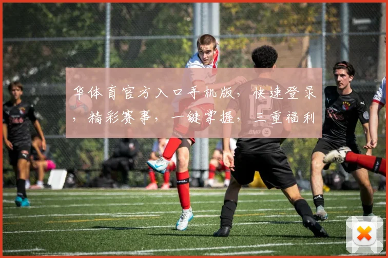 华体育官方入口手机版，快速登录，精彩赛事，一键掌握，三重福利，不容错过