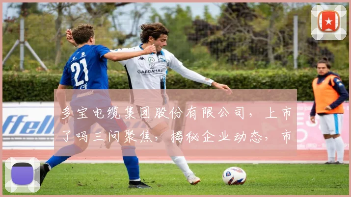 多宝电缆集团股份有限公司，上市了吗三问聚焦，揭秘企业动态，市场关注